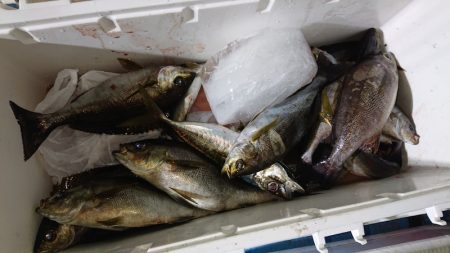 シースナイパー海龍 釣果