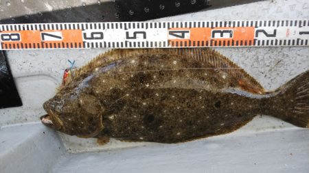 第二龍勢丸 釣果