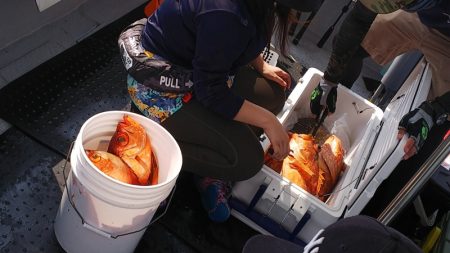 第二龍勢丸 釣果