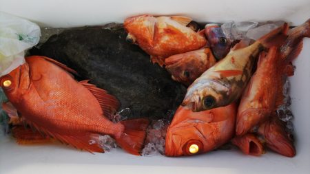 第二龍勢丸 釣果