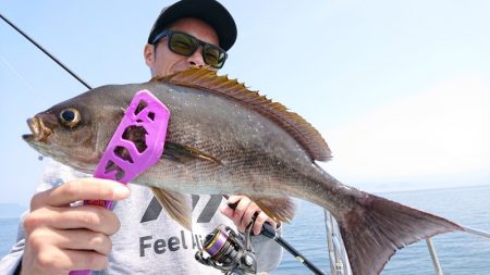 シースナイパー海龍 釣果