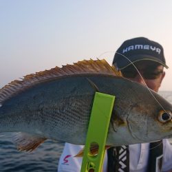 シースナイパー海龍 釣果