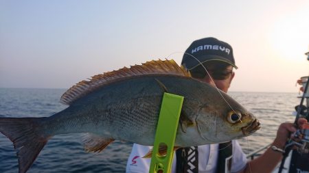 シースナイパー海龍 釣果