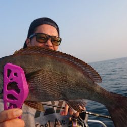 シースナイパー海龍 釣果