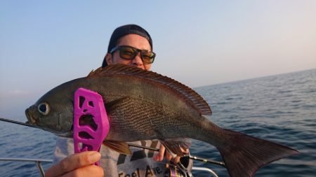 シースナイパー海龍 釣果