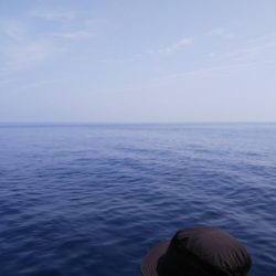 第二龍勢丸 釣果