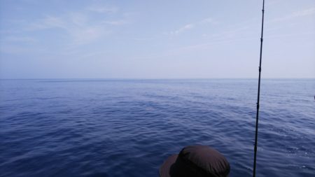 第二龍勢丸 釣果