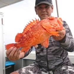だて丸 釣果