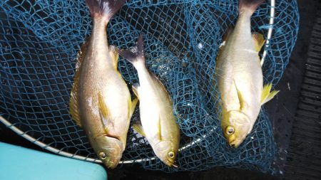 第二龍勢丸 釣果