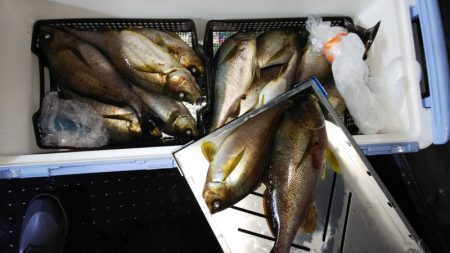 第二龍勢丸 釣果