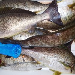 第二龍勢丸 釣果