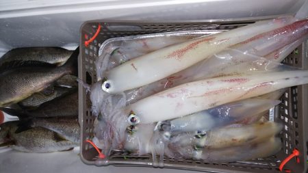 第二龍勢丸 釣果