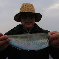 竹宝丸 釣果