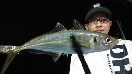 シースナイパー海龍 釣果