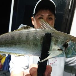 シースナイパー海龍 釣果