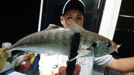 シースナイパー海龍 釣果