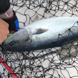 うさぎ丸 釣果