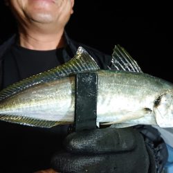 シースナイパー海龍 釣果