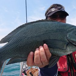 シースナイパー海龍 釣果