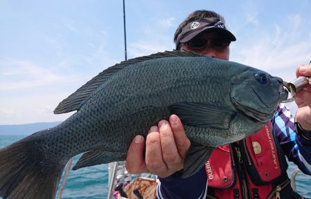 シースナイパー海龍 釣果