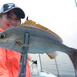 シースナイパー海龍 釣果