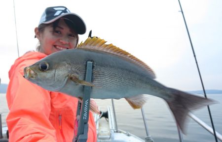 シースナイパー海龍 釣果