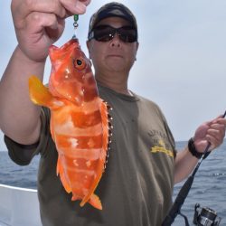 渡船屋たにぐち 釣果
