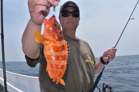 渡船屋たにぐち 釣果