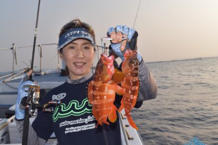 渡船屋たにぐち 釣果