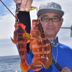 渡船屋たにぐち 釣果