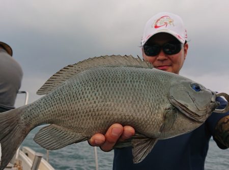 シースナイパー海龍 釣果