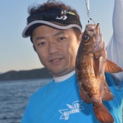 渡船屋たにぐち 釣果