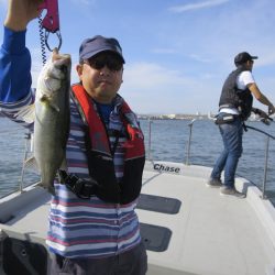 Chase（チェイス） 釣果