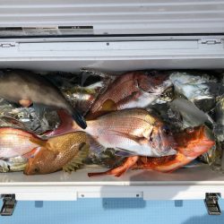 第二八坂丸 釣果