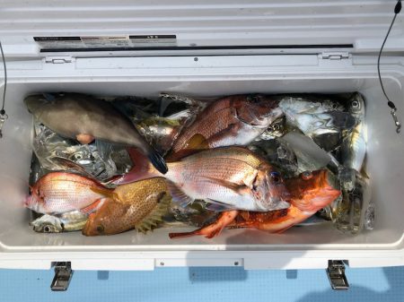 第二八坂丸 釣果