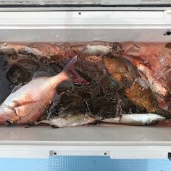 第二八坂丸 釣果