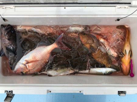 第二八坂丸 釣果