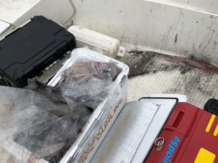 「LaGooN」蒼陽丸 日和号 釣果