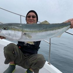 SeaRide(シーライド) 釣果