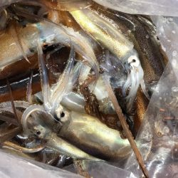 第二八坂丸 釣果