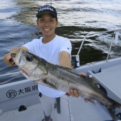 Chase(チェイス) 釣果