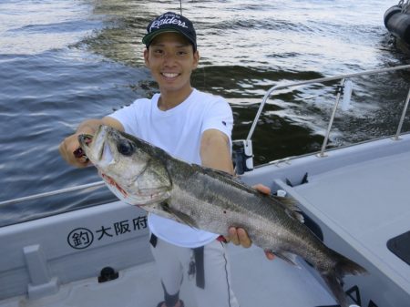 Chase(チェイス) 釣果