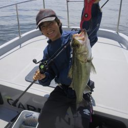 Chase(チェイス) 釣果