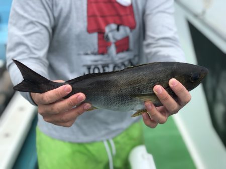 丸万釣船 釣果