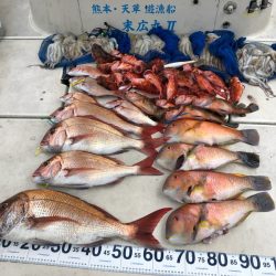 末広丸(熊本) 釣果