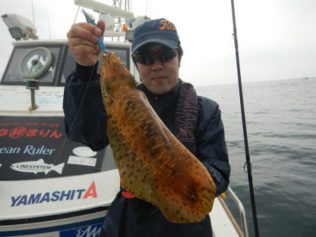 きずなまりん 釣果