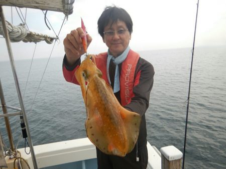 きずなまりん 釣果