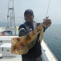 きずなまりん 釣果