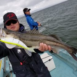 アマテラス 釣果