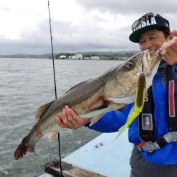 アマテラス 釣果